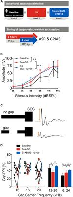 Small molecule modulation of the large-conductance calcium-activated potassium channel suppresses salicylate-induced tinnitus in mice